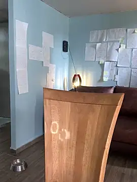 Canneela online show from 23, 11, 2025