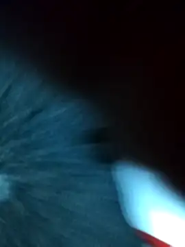 Snapshot of safadomoreno chatting on 16, 1, 2026 safadomoreno online show from 16, 1, 2026