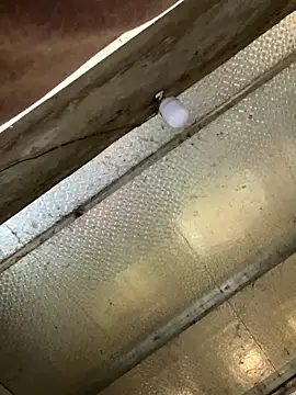 Snapshot of han-cute chatting on 24, 11, 2025 han-cute online show from 24, 11, 2025