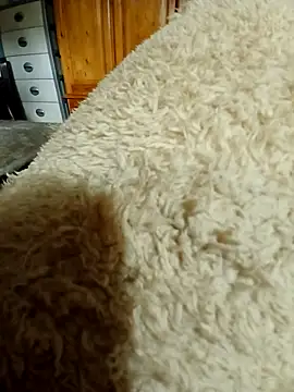 Snapshot of Ahalm chatting on 16, 11, 2025 Ahalm online show from 16, 11, 2025