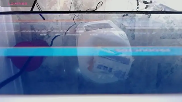 andrealopezcm101 online show from 15, 12, 2025