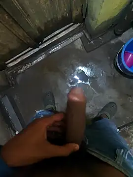 Snapshot of biswasb900 chatting on 23, 11, 2025 biswasb900 online show from 23, 11, 2025