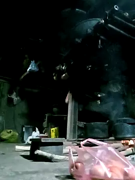 ngan-cute online show from 27, 10, 2025