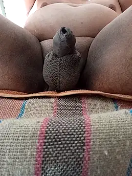 Snapshot of HotsitoTQM chatting on 17, 12, 2025 HotsitoTQM online show from 17, 12, 2025