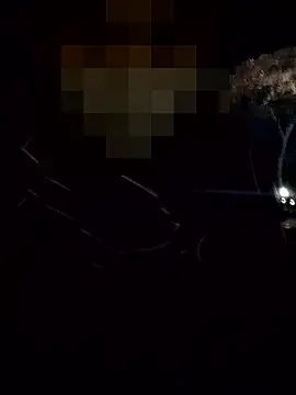 Snapshot of thcn12345 chatting on 3, 12, 2025 thcn12345 online show from 3, 12, 2025