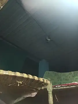 Snapshot of Hot-honi chatting on 10, 11, 2025 Hot-honi online show from 10, 11, 2025