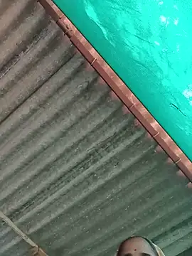 Snapshot of Hot-honi chatting on 12, 11, 2025 Hot-honi online show from 12, 11, 2025