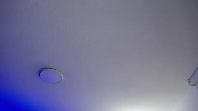 Snapshot of _Charlotte_Collins_ chatting on 20, 5, 2026 Charlotte Collins online show from 20, 5, 2026