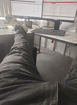 stunning stallion online show from 10, 10, 2025