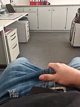 stunning stallion online show from 27, 3, 2026