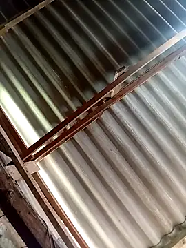 brein8 online show from 16, 9, 2025