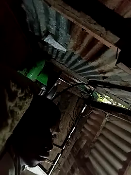 brein8 online show from 21, 9, 2025