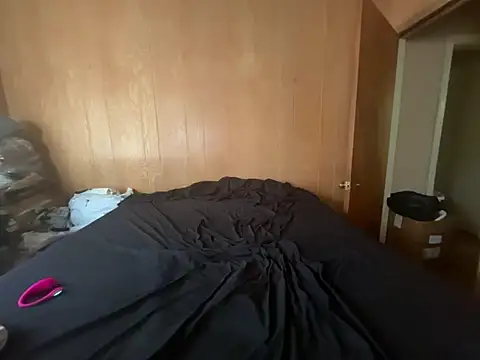 Snapshot of saltlightEmber chatting on 24, 2, 2026 saltlightEmber online show from 24, 2, 2026