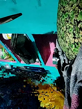 Pooja750 online show from 20, 2, 2026