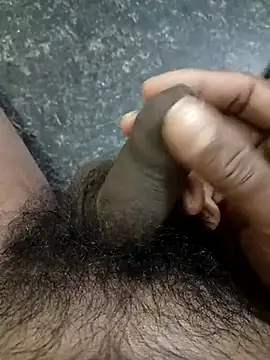 rajsibu online show from 21, 3, 2026