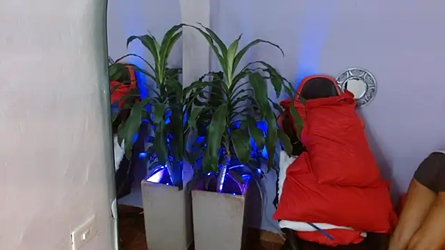 ivy scorpio online show from 15, 10, 2025