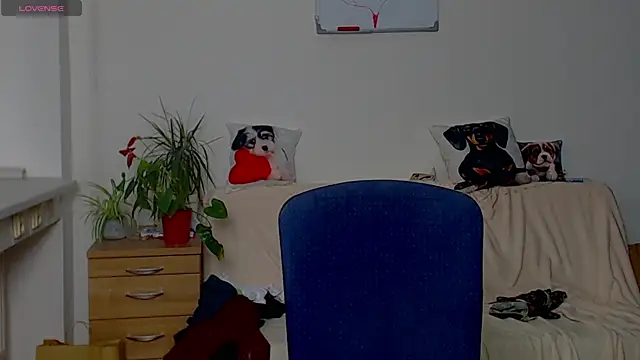 ZeinMiracles online show from 6, 4, 2026