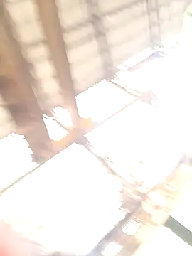 xyz-indian online show from 11, 10, 2025