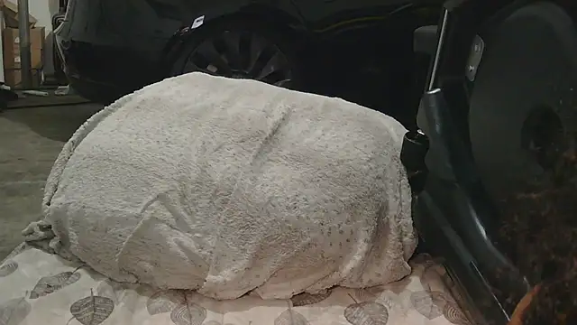 Gmajor online show from 15, 12, 2025