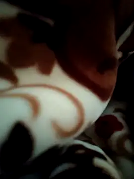 Snapshot of Hot_pooja55 chatting on 11, 2, 2026 Hot pooja55 online show from 11, 2, 2026