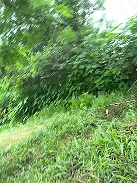 Snapshot of magraocam chatting on 19, 3, 2026 magraocam online show from 19, 3, 2026