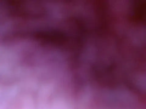 Your candy 47 online show from 17, 9, 2025