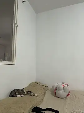 aliciia 23 online show from 28, 11, 2025