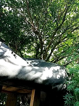 Snapshot of AlphaAlterX chatting on 16, 12, 2025 AlphaAlterX online show from 16, 12, 2025