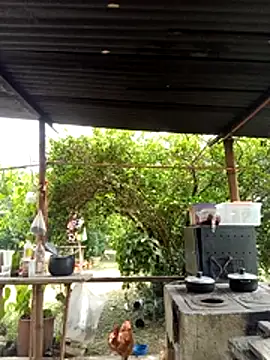 AlphaAlterX online show from 11, 3, 2026