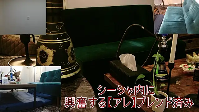 Bar muscle online show from 13, 9, 2025