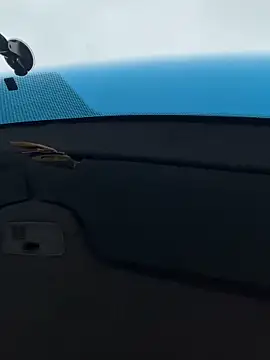 Snapshot of bmwe71 chatting on 13, 2, 2026 bmwe71 online show from 13, 2, 2026