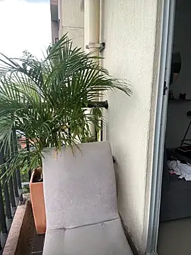 Sophie Dreamss online show from 5, 3, 2026