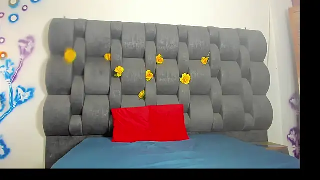 vwildcatper online show from 29, 10, 2025