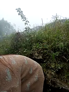 may-squirl online show from 24, 10, 2025