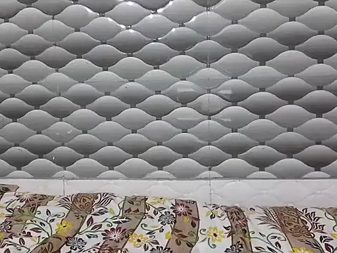 Jashika sharma online show from 11, 2, 2026