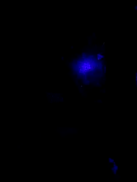 Snapshot of johnboones10 chatting on 22, 10, 2025 johnboones10 online show from 22, 10, 2025