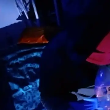 johnboones10 online show from 22, 2, 2026