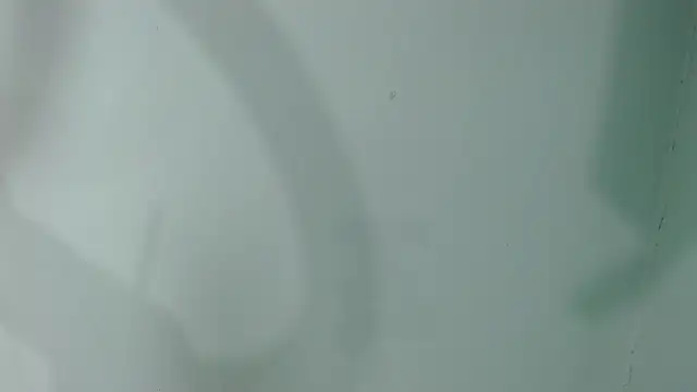 Snapshot of salome_aguilar chatting on 28, 9, 2025 salome aguilar online show from 28, 9, 2025