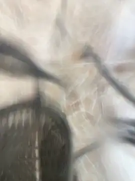 Adele Pinkk online show from 17, 10, 2025