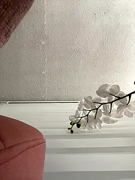 Adele Pinkk online show from 3, 11, 2025