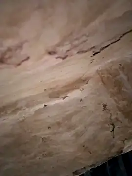 Snapshot of Sexy_hot66 chatting on 16, 9, 2025 Sexy hot66 online show from 16, 9, 2025