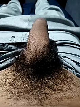 Aaia93 online show from 3, 11, 2025