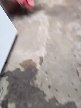 sertaonegro online show from 4, 3, 2026