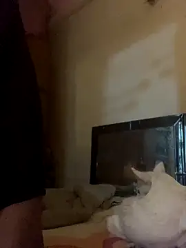 Snapshot of Kajal-Shemale69 chatting on 17, 11, 2025 Kajal-Shemale69 online show from 17, 11, 2025