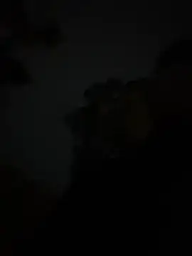 szk2412 online show from 16, 2, 2026