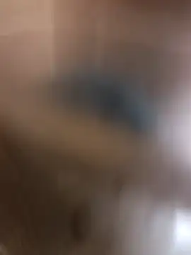 kirikou0644 online show from 10, 3, 2026