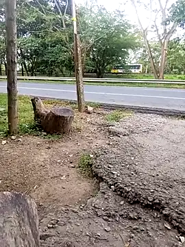 charlotte dante212 online show from 23, 11, 2025