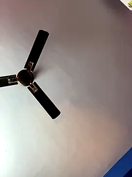 Snapshot of V-Hot-Sweti chatting on 19, 11, 2025 V-Hot-Sweti online show from 19, 11, 2025