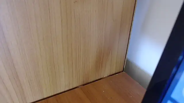 Pamela-StripX online show from 3, 3, 2026