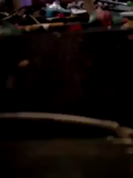 Snapshot of Bianomc1974 chatting on 8, 11, 2025 Bianomc1974 online show from 8, 11, 2025